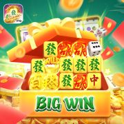wildcoins